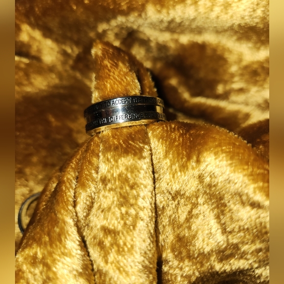 Stainless Steel INDUSTRIAL BAND - Picture 11 of 15